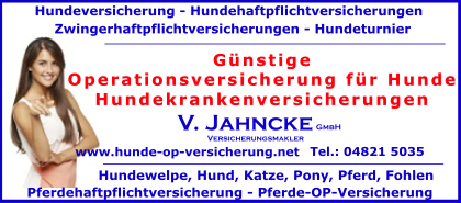 Operationsversicherung-fuer-Hunde